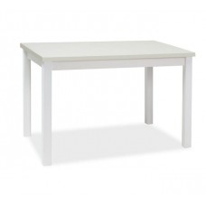 Galds ADAM 60X100